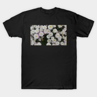 White and Purple Mums - Flowers T-Shirt